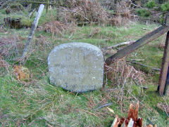 Boundary stone BH, (Benjamin Hall), Cwmcarn, April 2009
